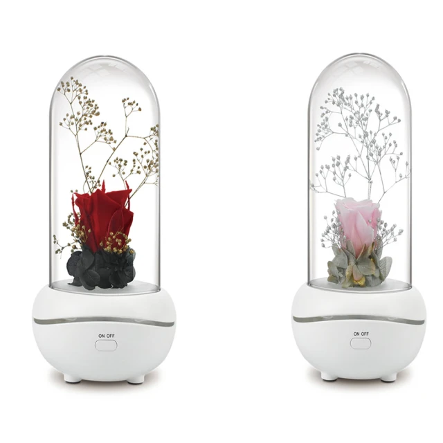 永生花香燻擴香瓶100ml 特選三入超值組 歷史價格詳細信息