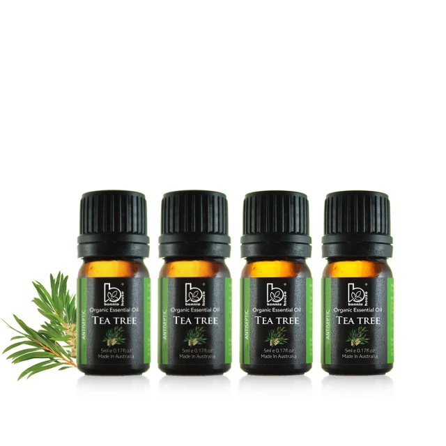 【Bonnie House 植享家】雙有機精油5ml（兩入組）+暖星相伴琉璃擴香儀 歷史價格詳細信息