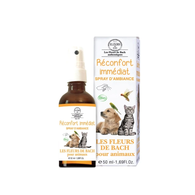 Fleurs de Bagne 花囚犯 軍綠色 大翻領 復古羊毛夾克 外套 S號 法國製 歷史價格詳細信息