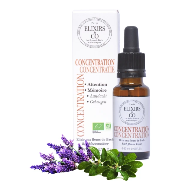 Fleurs de Bagne 花囚犯 軍綠色 大翻領 復古羊毛夾克 外套 S號 法國製 歷史價格詳細信息