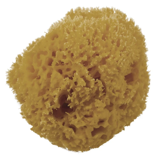 【Angel】希臘女神清新氣質珍珠桂冠造型項鍊耳環套組(白金色耳環項鍊套組) 歷史價格詳細信息