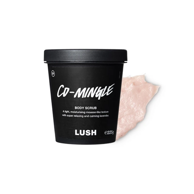 【LUSH 嵐舒】沐浴佳節 聖誕限定組合(沐浴露3入/花香/果香/薰衣草/焦糖/櫻桃) 歷史價格詳細信息