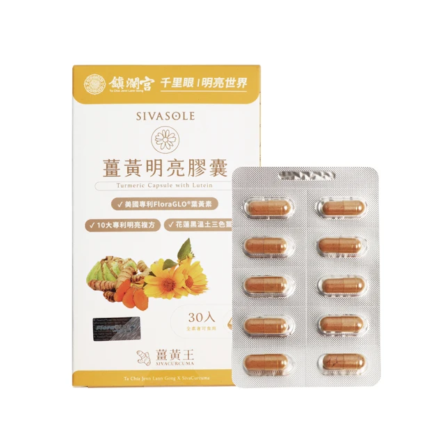 薑黃梅   260克/ 包【台北譽展蜜餞行】 歷史價格詳細信息