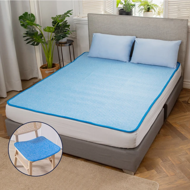 生命磁石墨烯能量透氣舒眠床墊-單人加大 歷史價格詳細信息