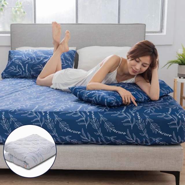 生命磁加強版石墨烯能量枕1入 歷史價格詳細信息