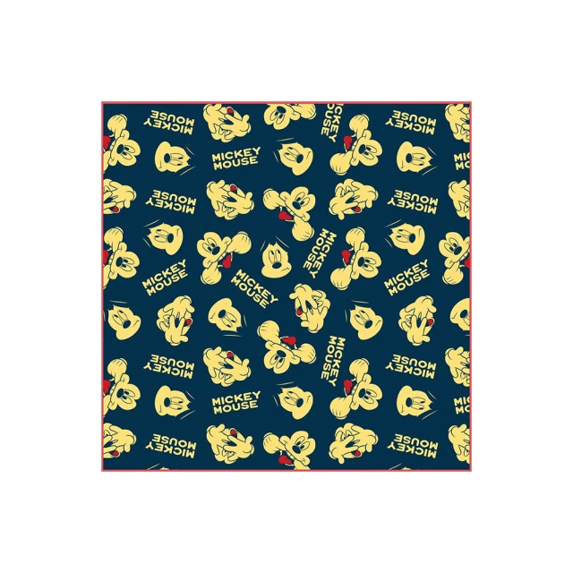 迪士尼｜迪士尼輕便餐具兩件組 史迪奇 維尼 米奇 米妮 奇奇蒂蒂 餐具兩件組 餐具 環保餐具  CA771 文具旗艦店 歷史價格詳細信息