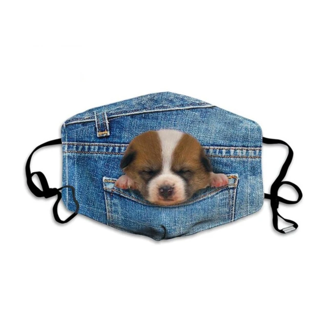 FIFI財源廣進紅包袋- 五入 歷史價格詳細信息