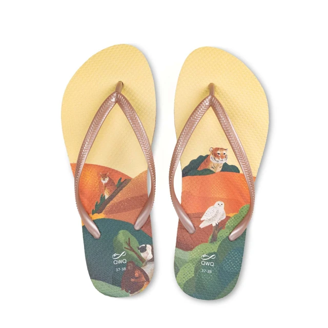 【QWQ】女款 夾腳拖 露台上的波麗 火之國 防滑防水 室外拖鞋 人字拖 雨鞋 MIT(AIPL) 歷史價格詳細信息