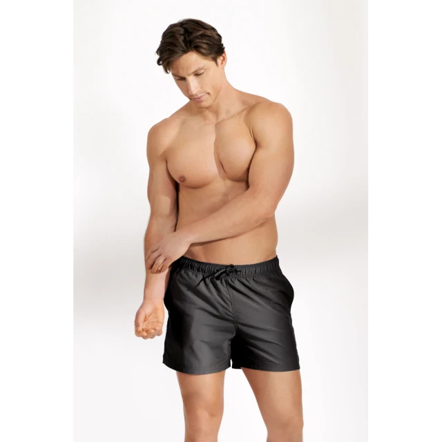 【Bread & Boxers】新品上市 現貨 Swim Trunk 吸濕快乾短褲 - 灰綠 歷史價格詳細信息