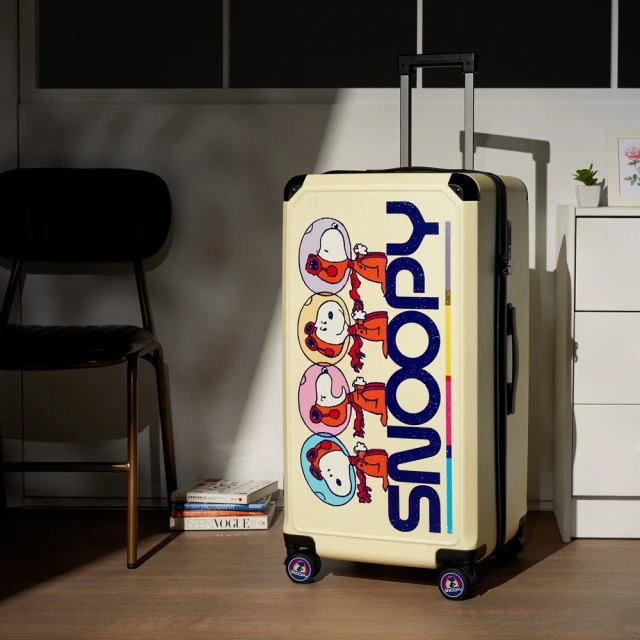 SNOOPY史努比 海綿奶瓶刷套組EW348 歷史價格詳細信息