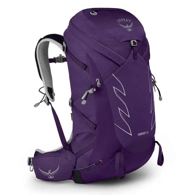 紫色-輕量後背包  AMINAH~【BODYSAC B652】 歷史價格詳細信息