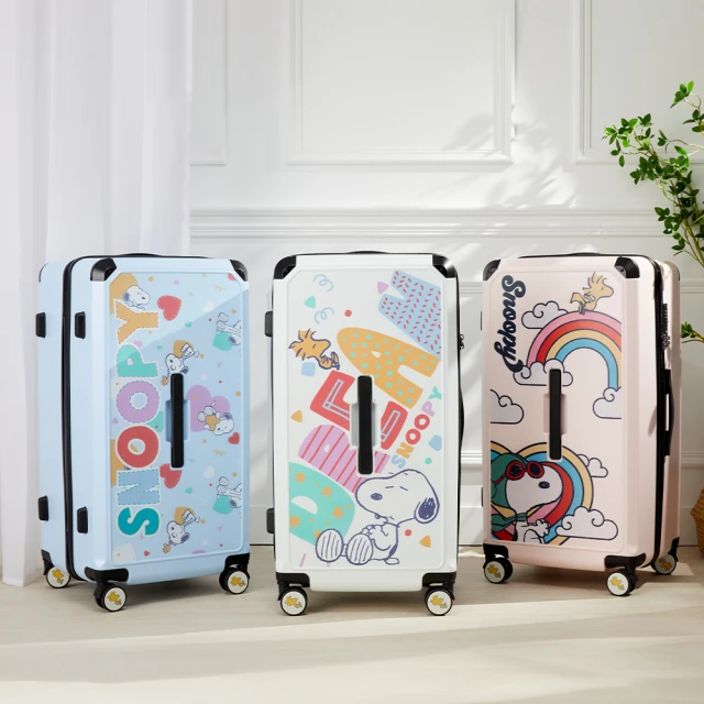 SNOOPY史努比 海綿奶瓶刷套組EW348 歷史價格詳細信息