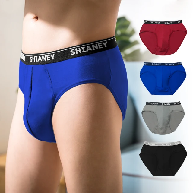 【SHIANEY 席艾妮】8件組 台灣製 涼感紗 男性三角內褲 吸濕排汗 透氣 歷史價格詳細信息