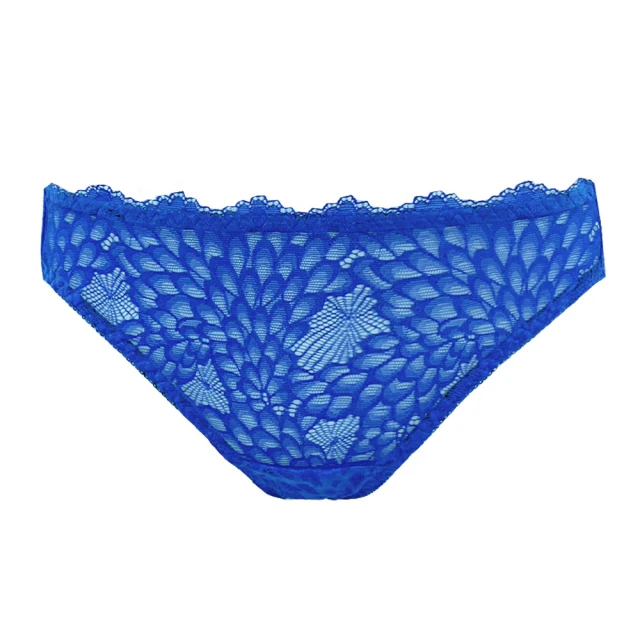 【思薇爾】Panty小褲系列M-XL全蕾絲低腰三角無痕女內褲(絲絹膚) 歷史價格詳細信息