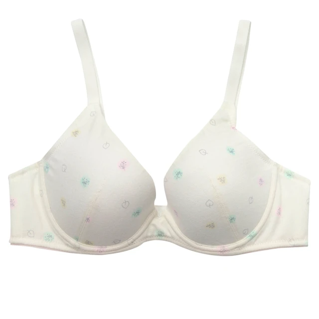 【BeenTeen 嬪婷】環保 天竹纖維 D-E罩杯內衣 BB3655C2(環保綠) 歷史價格詳細信息