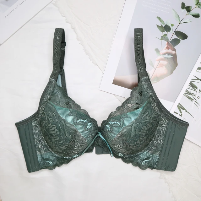 【伊黛爾】葛蕾諾琳 蕾絲集中舒壓機能內衣 集中 包覆 防副乳 透氣 吸濕排汗 女內衣 流行內衣 NO8829 歷史價格詳細信息