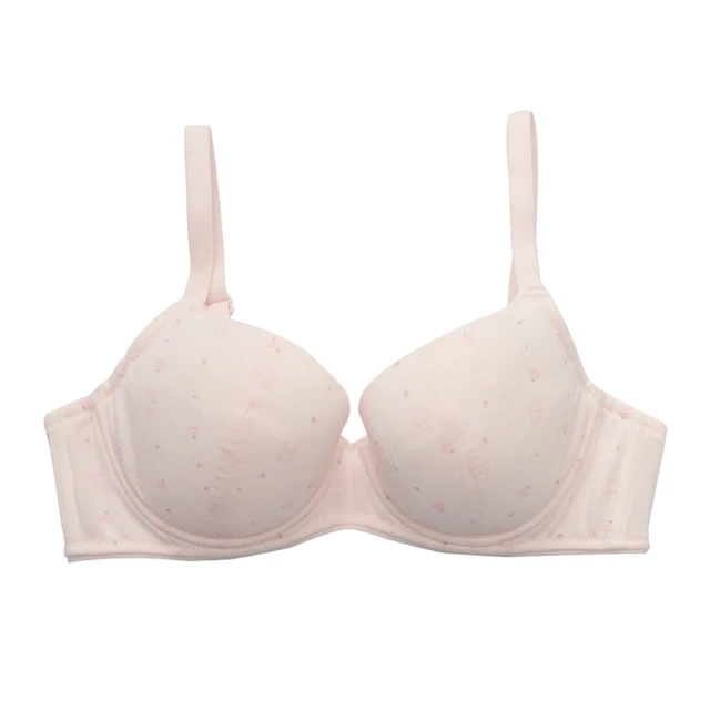 嬪婷-學生系列-甲殼素 A-D罩杯第三階段軟鋼圈內衣(青草綠) BB2307C6 歷史價格詳細信息