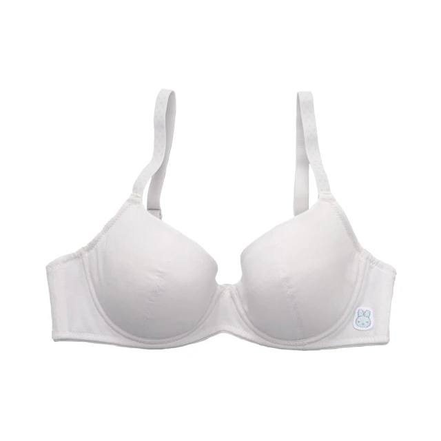 嬪婷-學生系列-甲殼素 A-D罩杯第三階段軟鋼圈內衣(青草綠) BB2307C6 歷史價格詳細信息