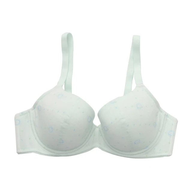 嬪婷-學生系列-甲殼素 A-D罩杯第三階段軟鋼圈內衣(青草綠) BB2307C6 歷史價格詳細信息