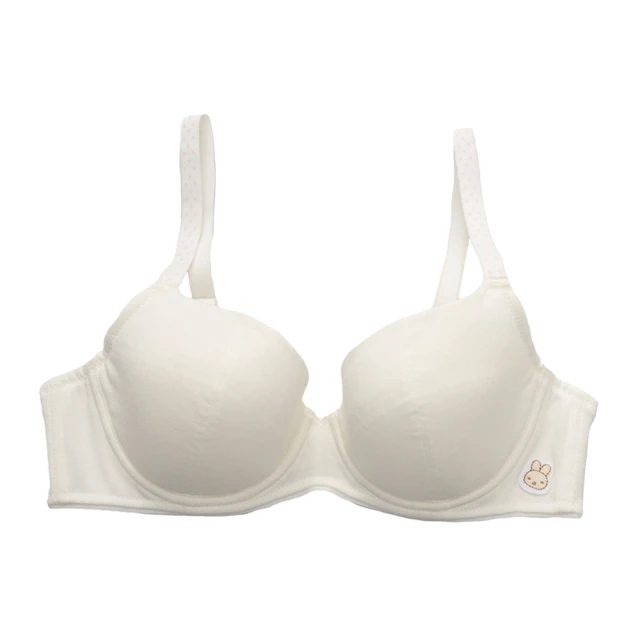 嬪婷-學生系列-甲殼素 A-D罩杯第三階段軟鋼圈內衣(青草綠) BB2307C6 歷史價格詳細信息