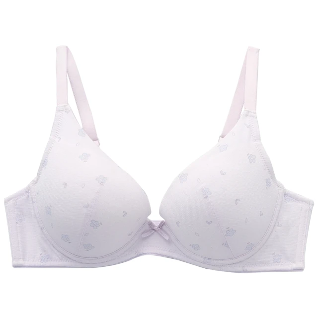 嬪婷-環保系列-零碳天絲?纖維 M-3L中低腰小平口夜間生理褲(溫柔紫) BB3665搭配內褲-BS4565UM 歷史價格詳細信息