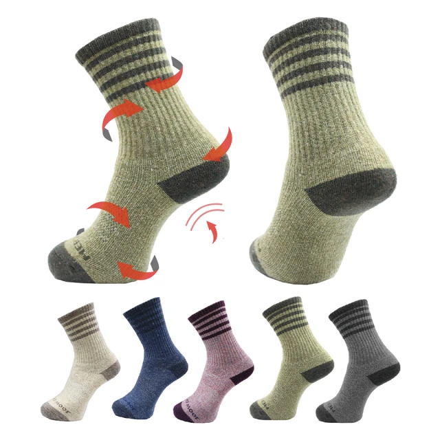 【AREXSPORT】避震控溫美麗諾羊毛襪男女-礦晶紫 登山必備 百岳專用 歷史價格詳細信息