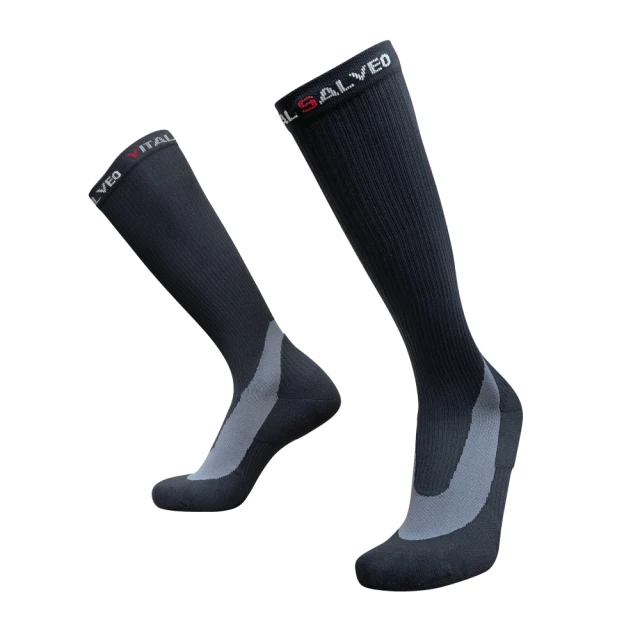 【Vital Salveo 紗比優】女超彈力無縫壓縮緊身機能長褲(緊身褲/內搭束褲 -台灣製造) 歷史價格詳細信息