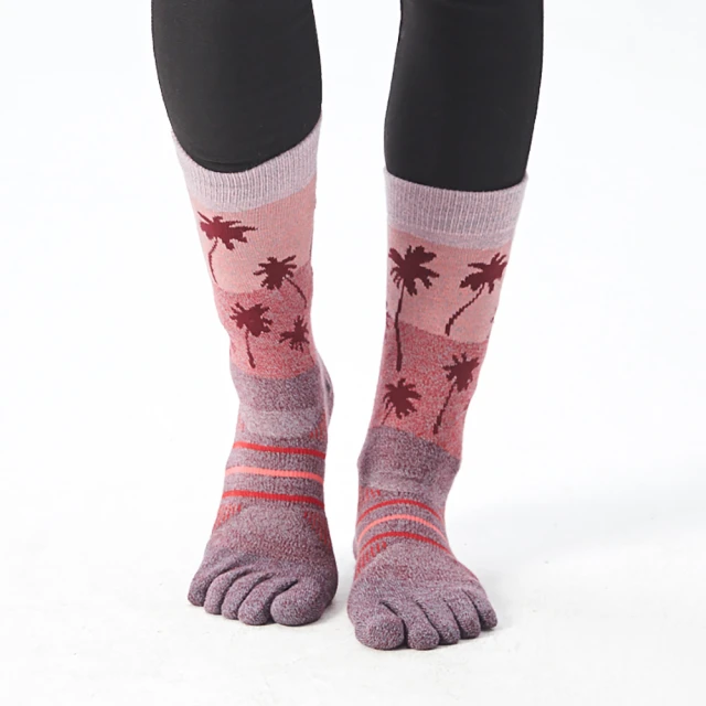 ADISI 快乾中筒五趾襪 AS21073 / 桃 歷史價格詳細信息