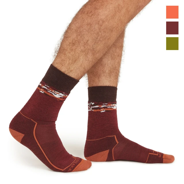 icebreaker IB0A56GN -  女 中筒中毛圈健行襪 歷史價格詳細信息