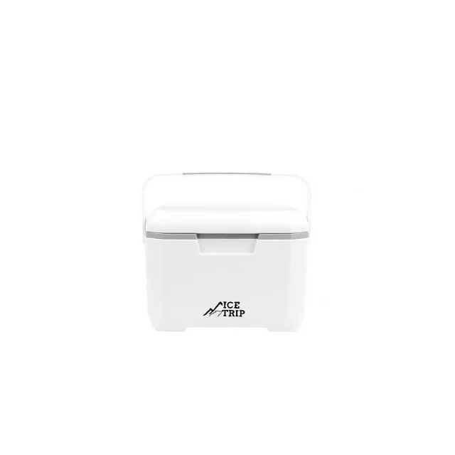 冰箱6L迷你冰箱支持110v220v全球家用電壓英規歐規美規臺灣 歷史價格詳細信息