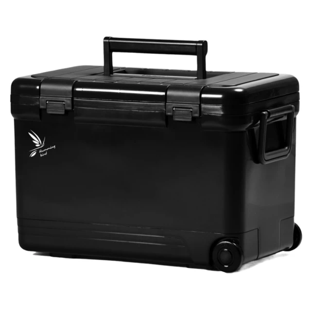 【SHINWA 伸和】日本製 HOLIDAY CBX-7L冰箱 #白色(#露營用品#戶外露營釣魚冰箱#保冷行動冰箱#烤肉冰桶) 歷史價格詳細信息