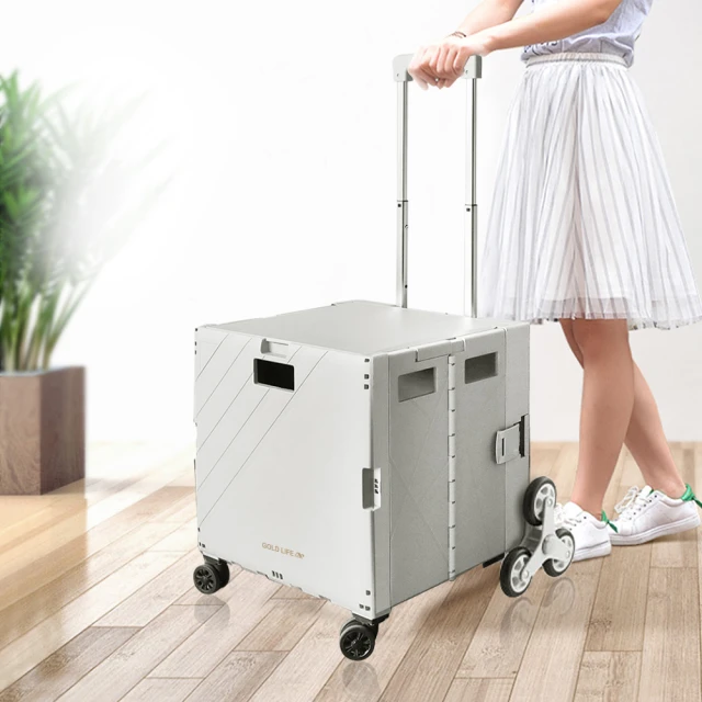 GOLD LIFE 設計師行李箱套-音樂搖滾(28吋) 歷史價格詳細信息