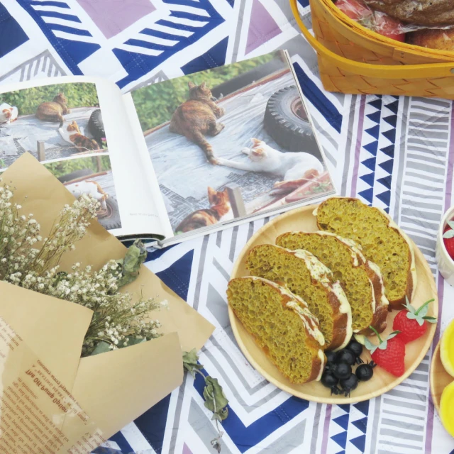 加拿大天際線Horizon USB充電手持小風扇 (高容量認證電池)(雙重防暴電路，產品責任險) 歷史價格詳細信息