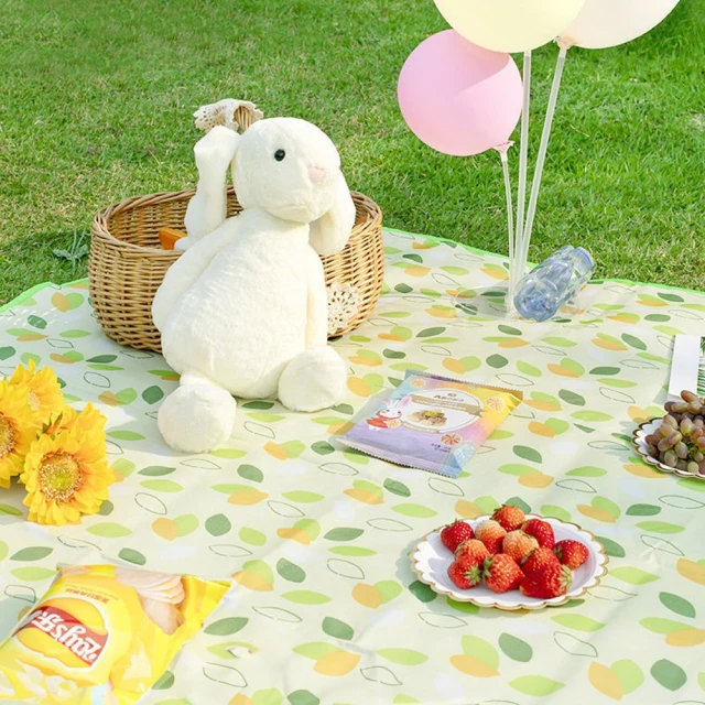 【美得像專櫃】收納箱 超值2入 9格 衣櫃分格收納盒 特硬PP板(分隔收納盒 衣櫥收納袋 衣物收納 分隔收納袋) 歷史價格詳細信息