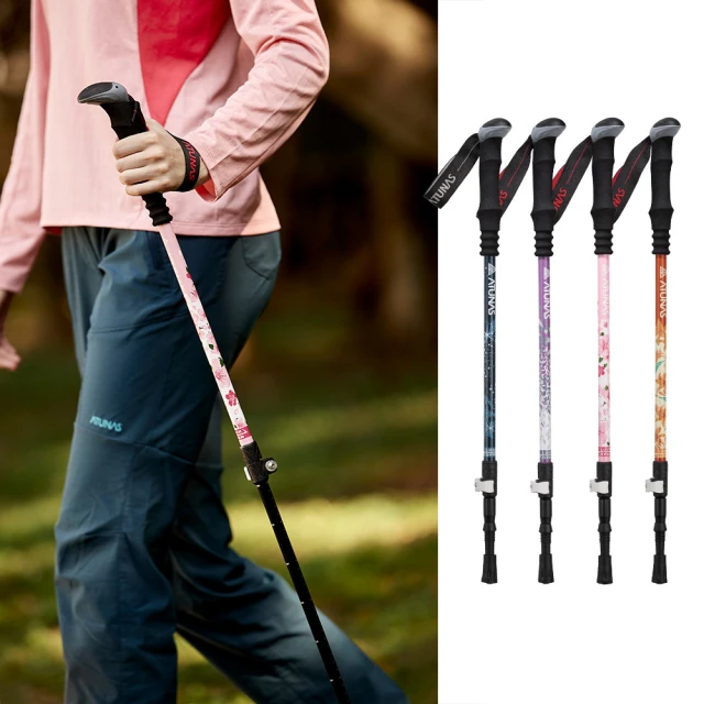 《ATUNAS 歐都納》多功能鋁合金鋼網折疊桌 60x42x28.5cm A1CDEE07 歷史價格詳細信息