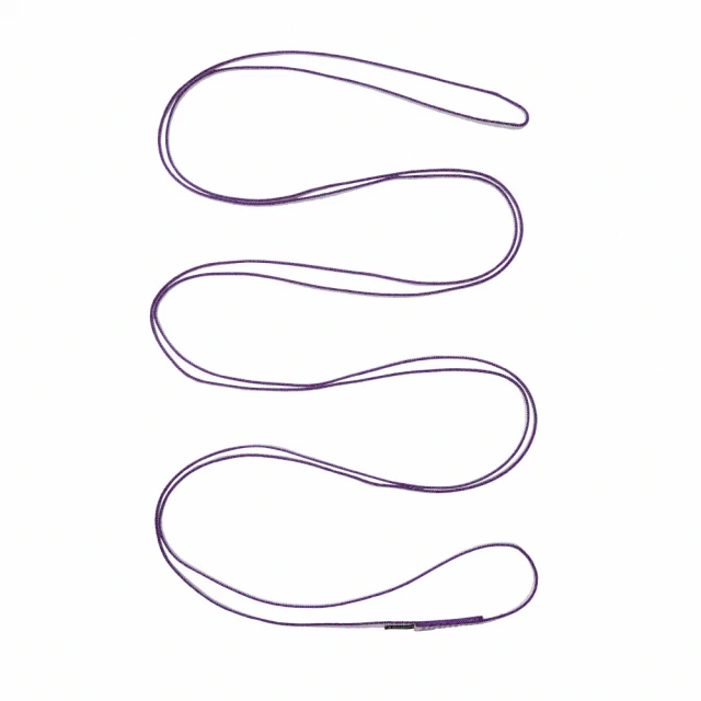 Black Diamond 環形滑扣登山杖112211 (一組兩支)【120-140cm】 歷史價格詳細信息