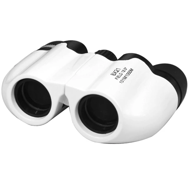 【COMET】8呎進口茂密擬真聖誕樹(CTA0034) 歷史價格詳細信息