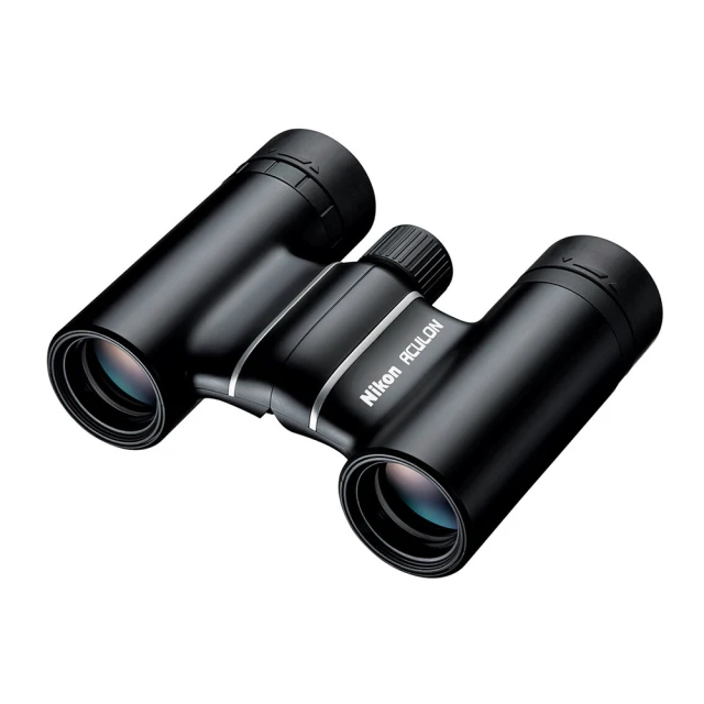 (保固公司貨) NIKON P340 類單眼相機 S110 S100 P610 HX90V P330 P310 T110 D30 S110 S100 歷史價格詳細信息