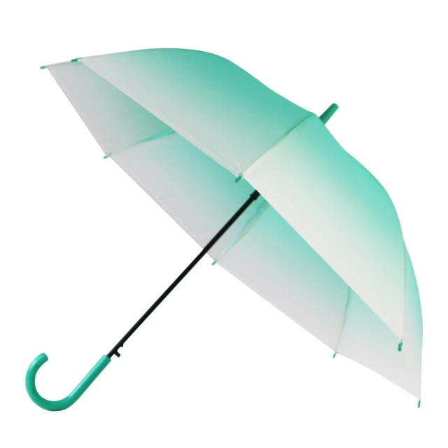 【雙龍牌】日系方塊反光超輕安全雨衣套式雨衣(環保太空雨衣連身雨衣EV4968) 歷史價格詳細信息