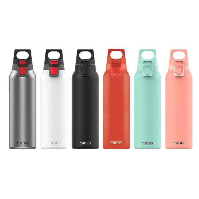 【SIGG】官方直營 晶燦不銹鋼保溫瓶 750ml - 霧鋼銀(特殊旋轉科技 重量減輕30%、功能不減) 歷史價格詳細信息