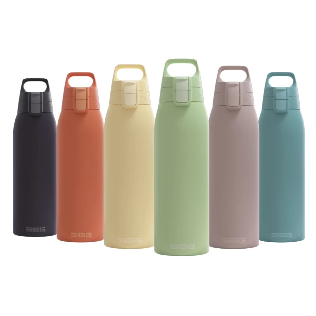 【SIGG】官方直營 晶燦不銹鋼保溫瓶 750ml - 霧鋼銀(特殊旋轉科技 重量減輕30%、功能不減) 歷史價格詳細信息