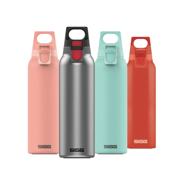 【SIGG】官方直營 晶燦不銹鋼保溫瓶 750ml - 霧鋼銀(特殊旋轉科技 重量減輕30%、功能不減) 歷史價格詳細信息