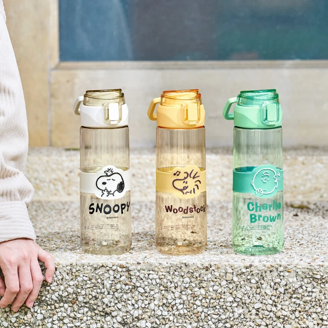 【SENSE LAB·SNOOPY】史努比 小夥伴手提肩背大容量雙飲水壺(1300ml/彩色禮盒/新年送禮) 歷史價格詳細信息
