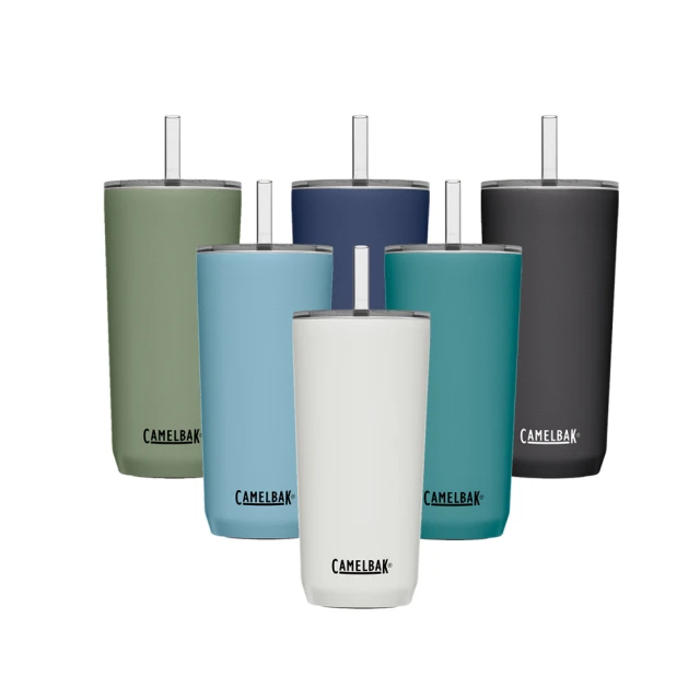 Straw Tumbler 不鏽鋼真空保溫杯吸管杯蓋組 - 大 歷史價格詳細信息