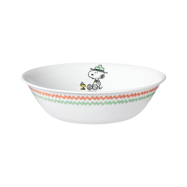 【CORELLE 康寧餐具】SNOOPY 露營趣 8吋平盤(108) 歷史價格詳細信息