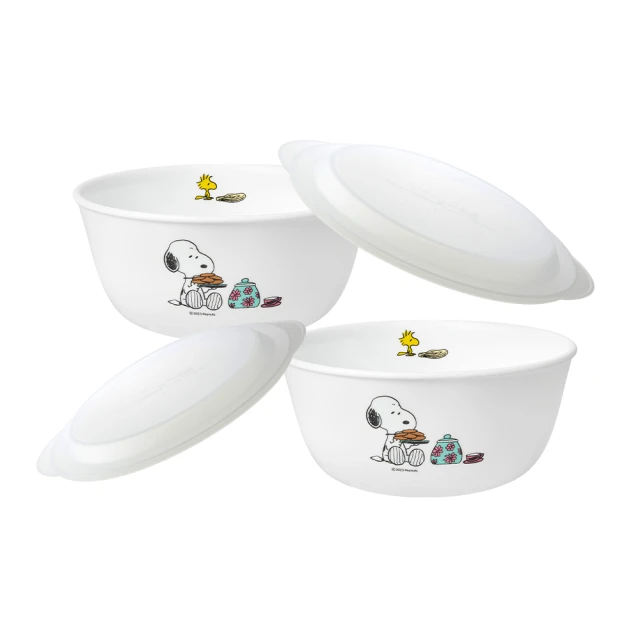 【CorelleBrands 康寧餐具】4件式拉麵碗組(均一價) 歷史價格詳細信息