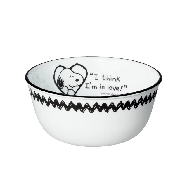 【CORELLE 康寧餐具】SNOOPY 復刻黑白10吋平盤(110) 歷史價格詳細信息