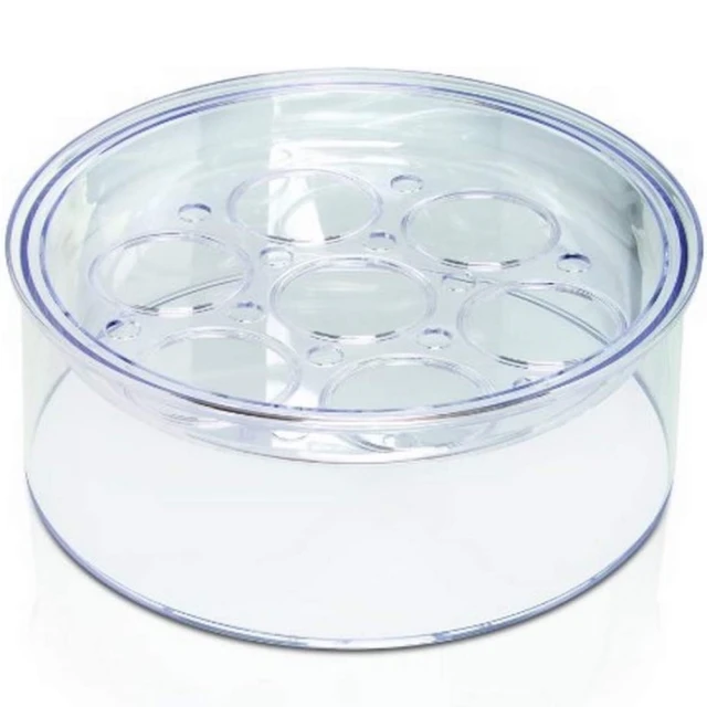 EURO 2004年 西班牙 5歐元分 紀念幣 AU 歷史價格詳細信息