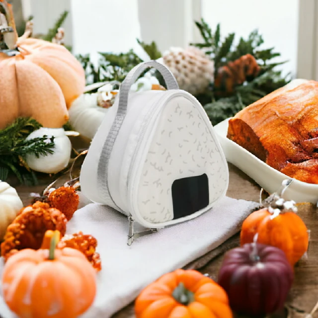 早期外出型卡帶機，過電不轉，故帳機，文物展中 歷史價格詳細信息