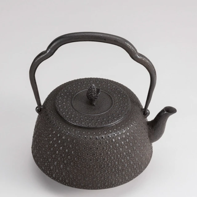 日本岩鑄 IWACHU 南部鐵器 IH煎餃平底鑄鐵鍋(附木蓋) 歷史價格詳細信息